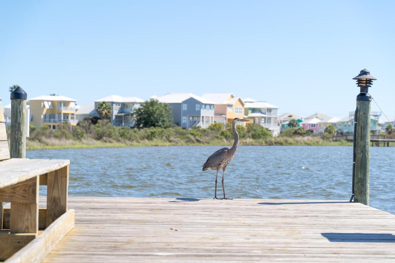 Compass Point 310 Lägenhet Gulf Shores Exteriör bild